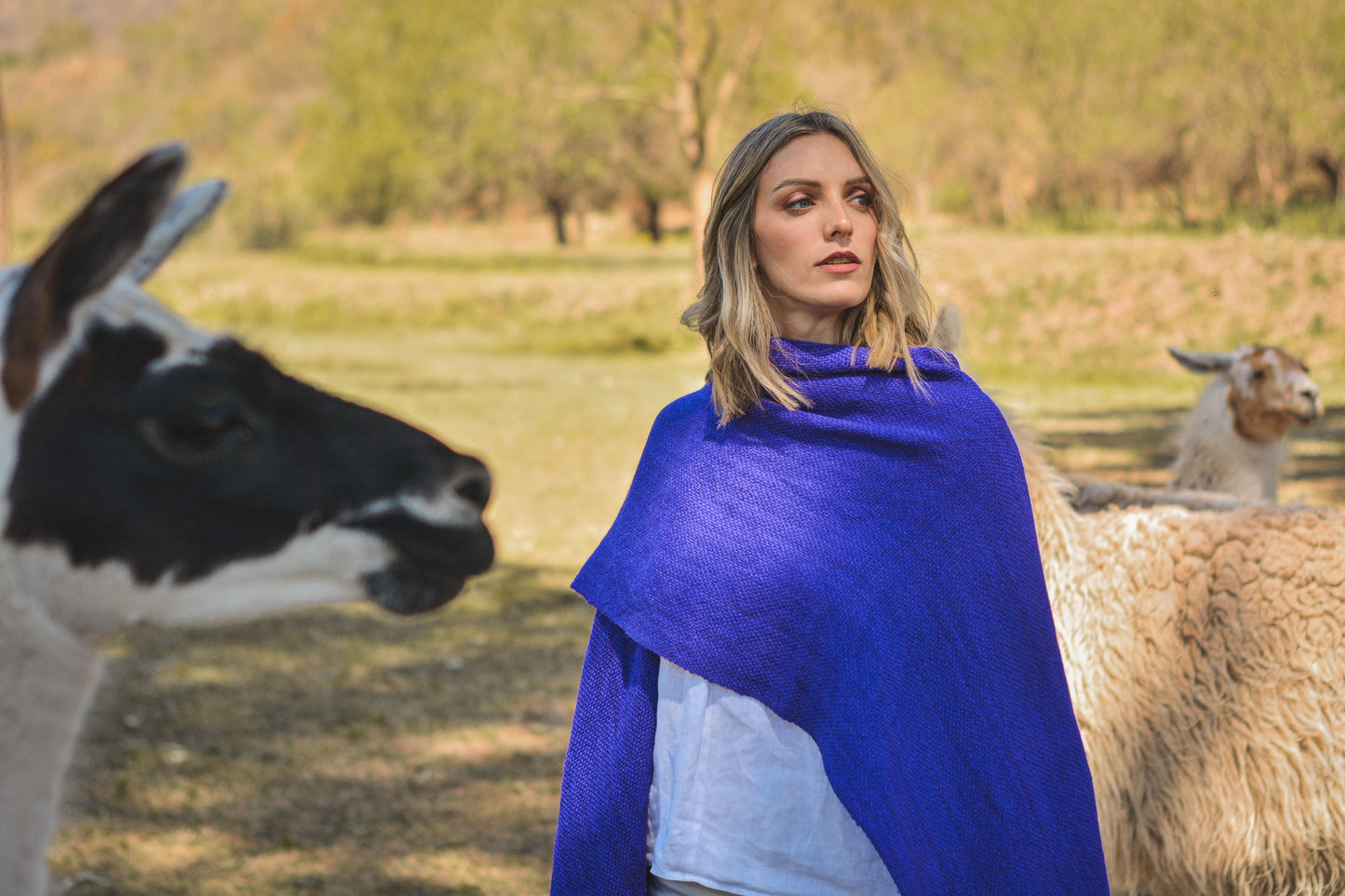 Ruana "Mora" Hilos Llama Baby en Telar