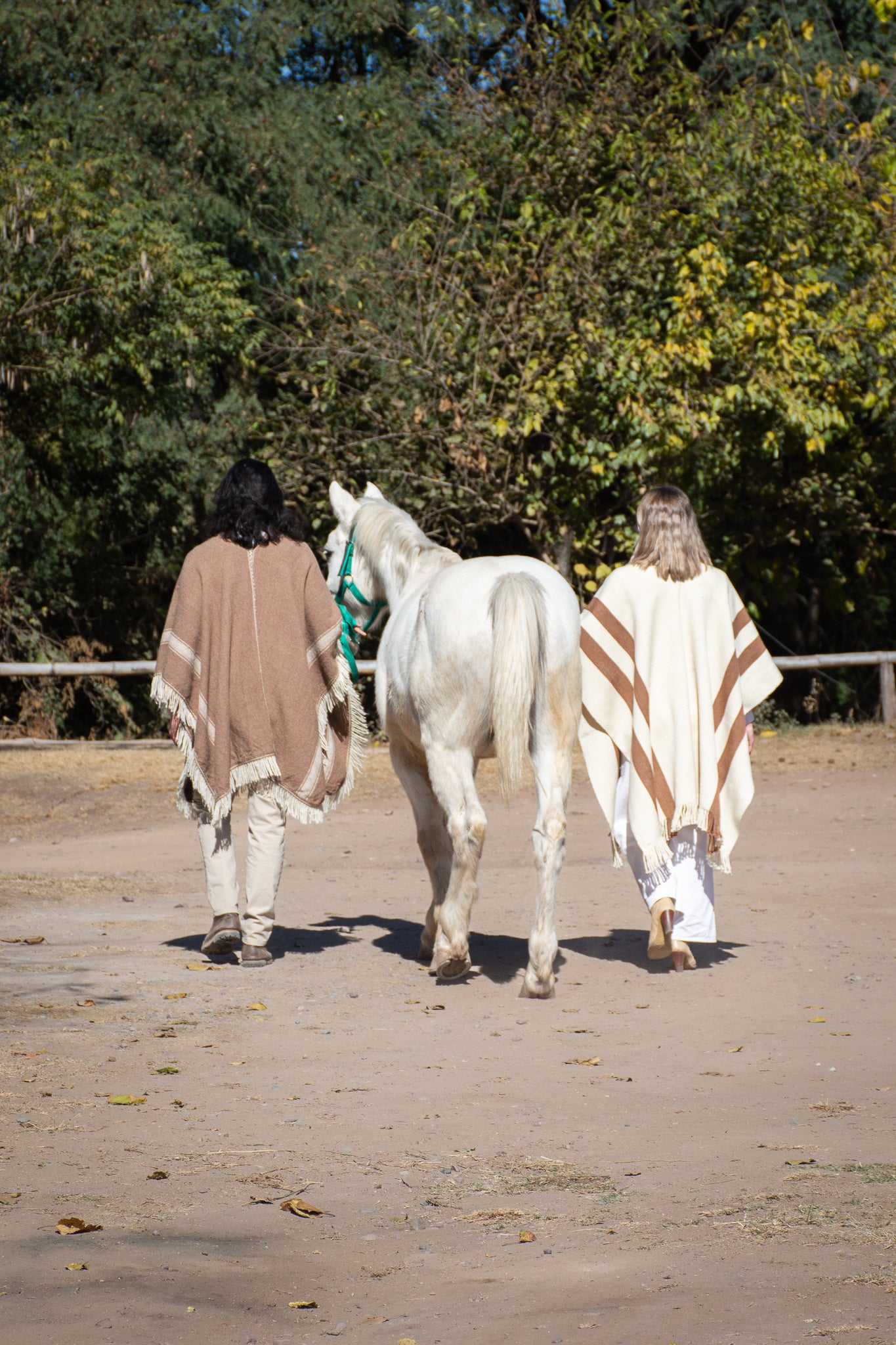 Poncho "Iraola" Obra Telar Criollo