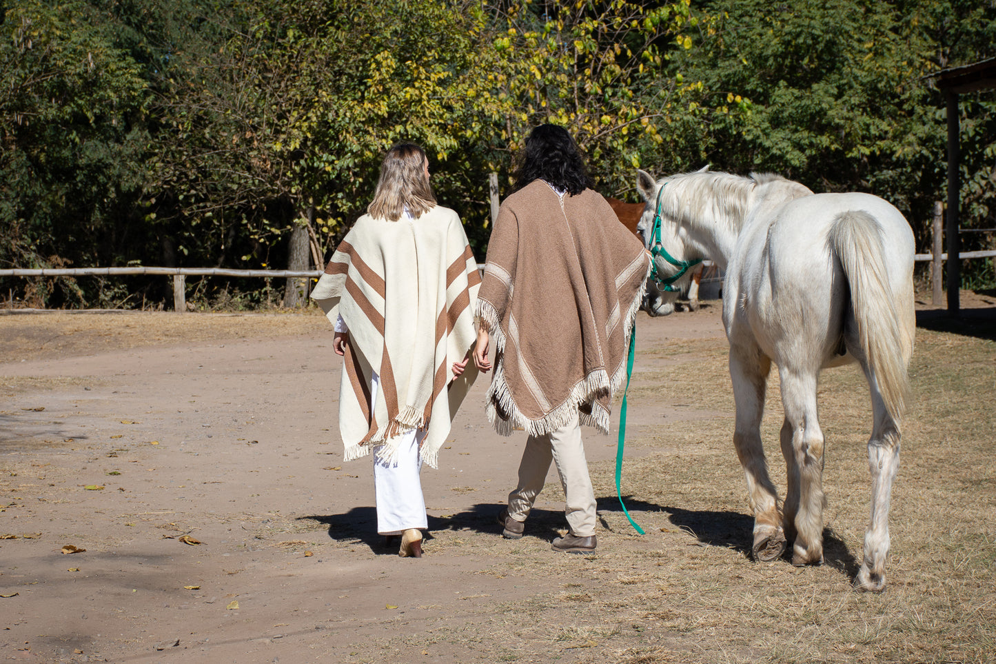 Poncho "Iraola" Obra Telar Criollo