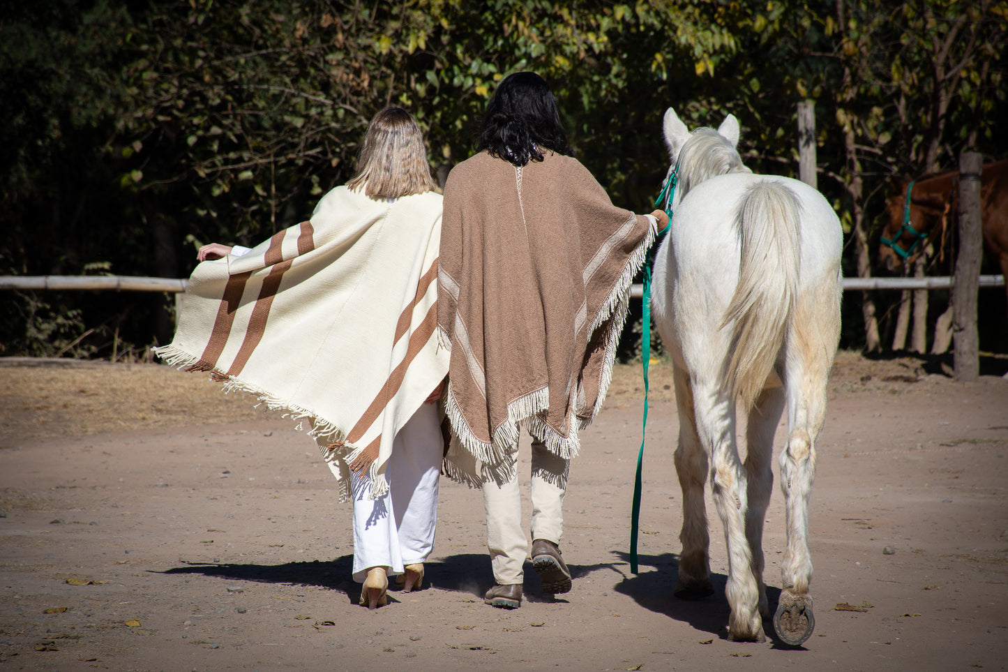 Poncho "Iraola" Obra Telar Criollo