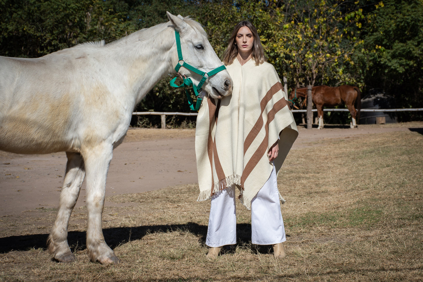 Poncho "Iraola" Obra Telar Criollo