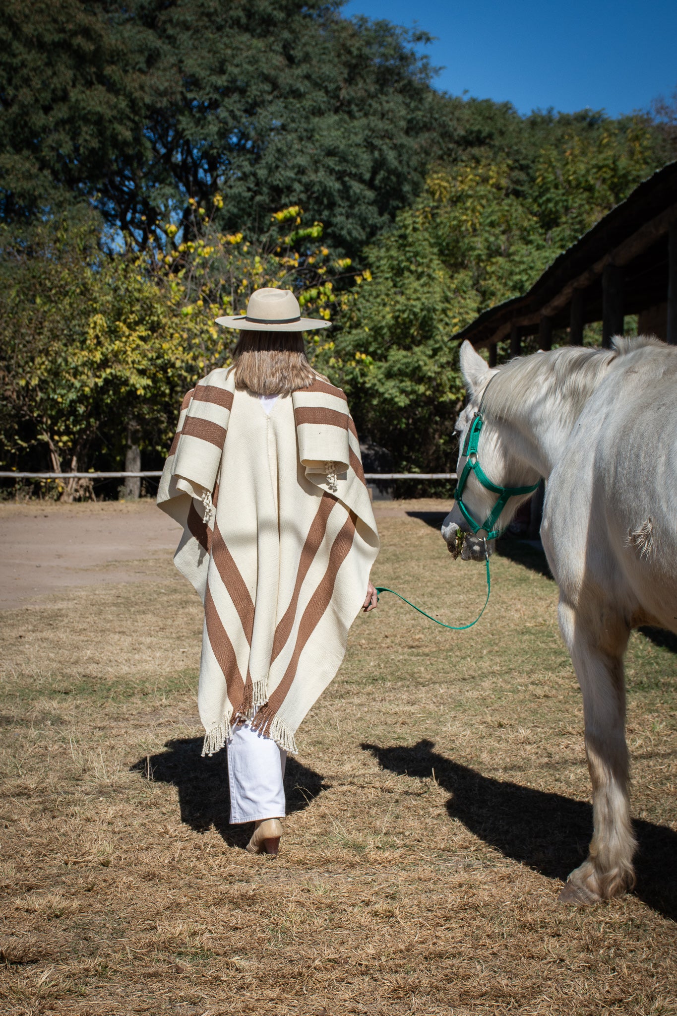 Poncho "Iraola" Obra Telar Criollo