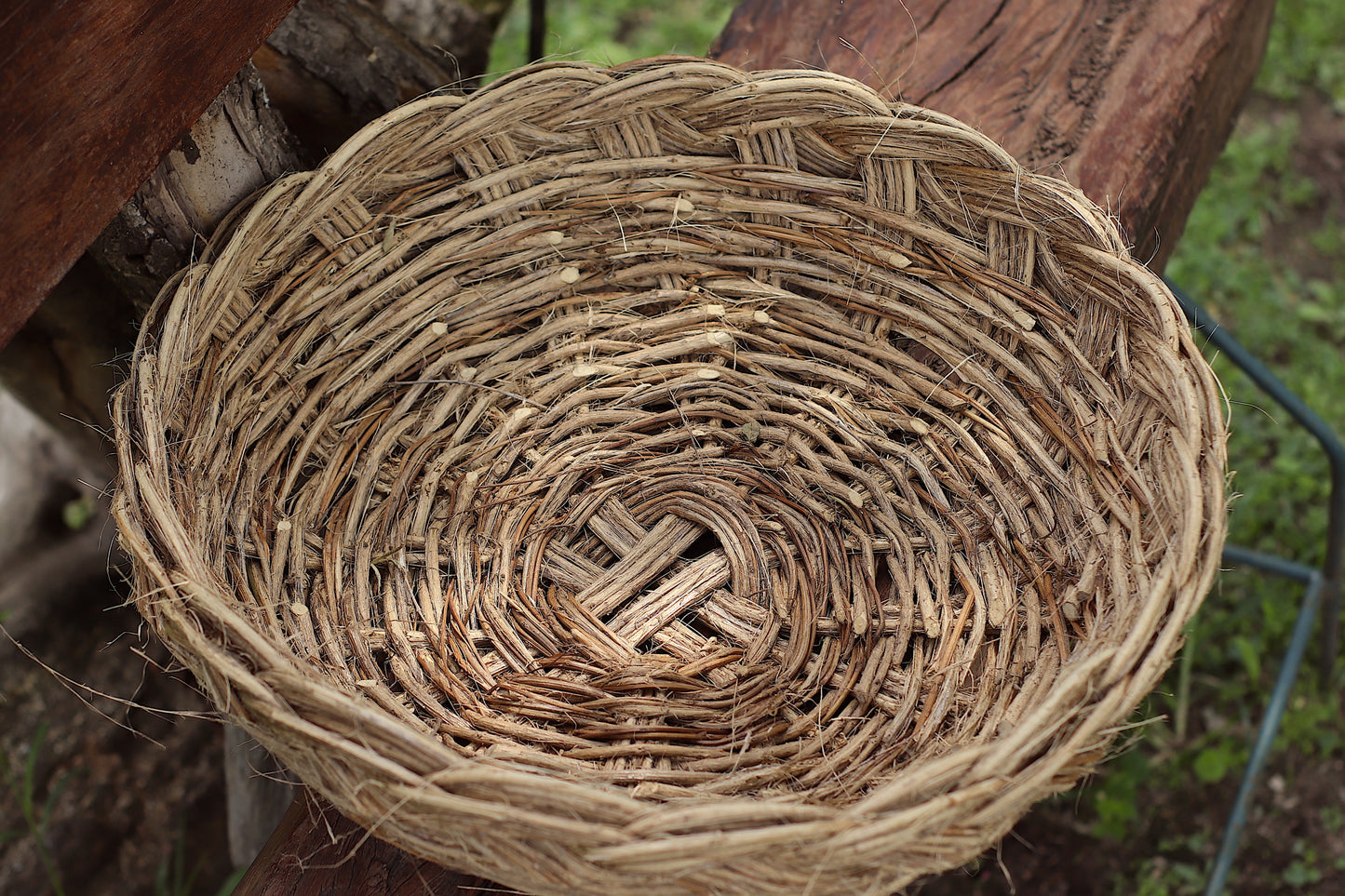 Basket of Pennyroyal Branches