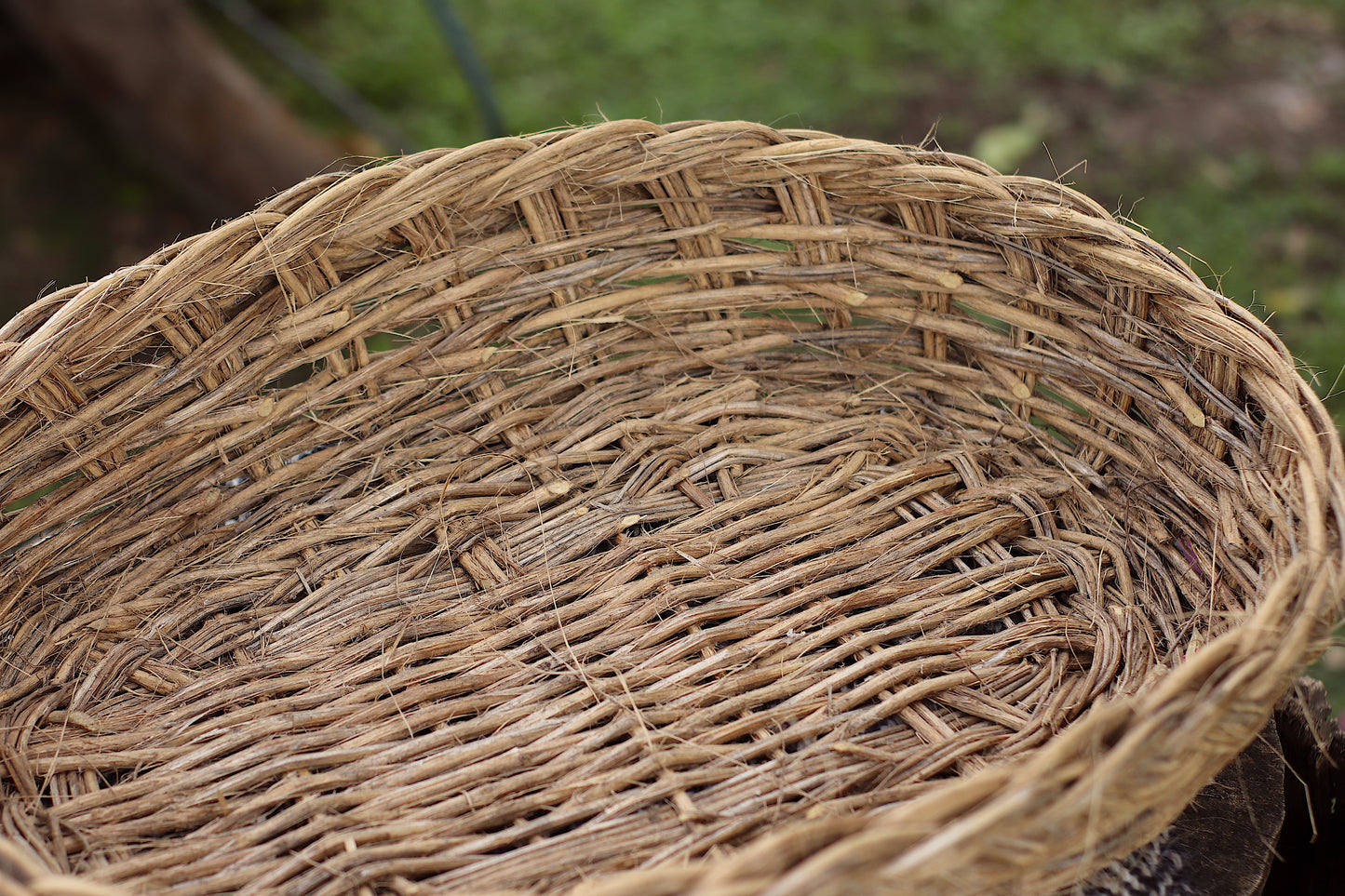 Basket of Pennyroyal Branches