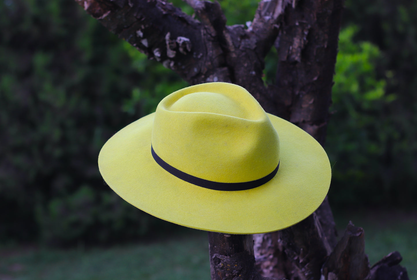 Australian Felt Hat No. 52 